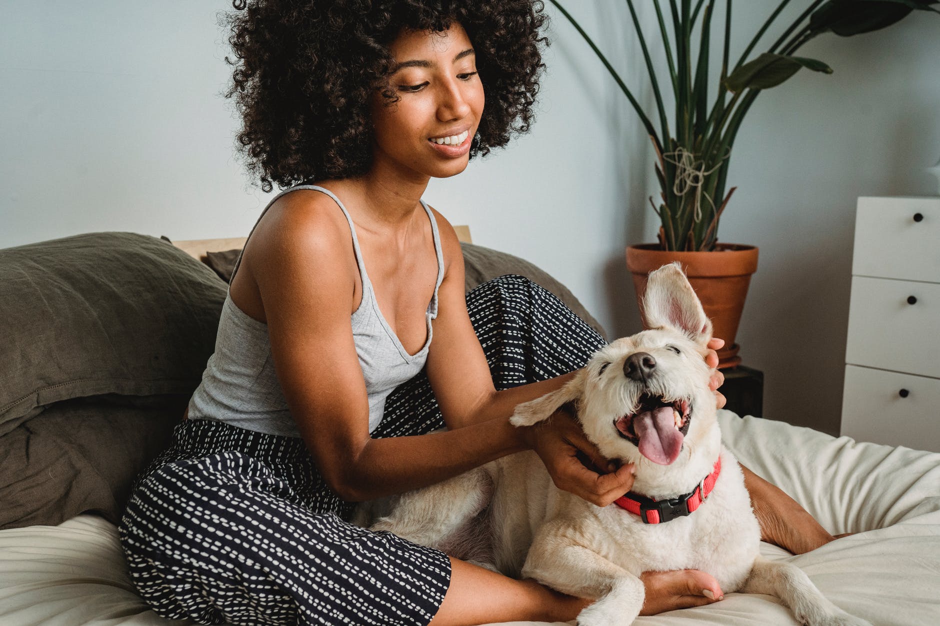 cheerful black female chilling with positive dog in bedroom at home